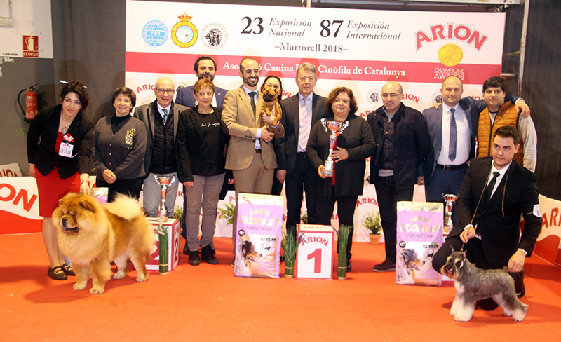 87a Exposició Internacional Canina. Ca n'Oliveras
