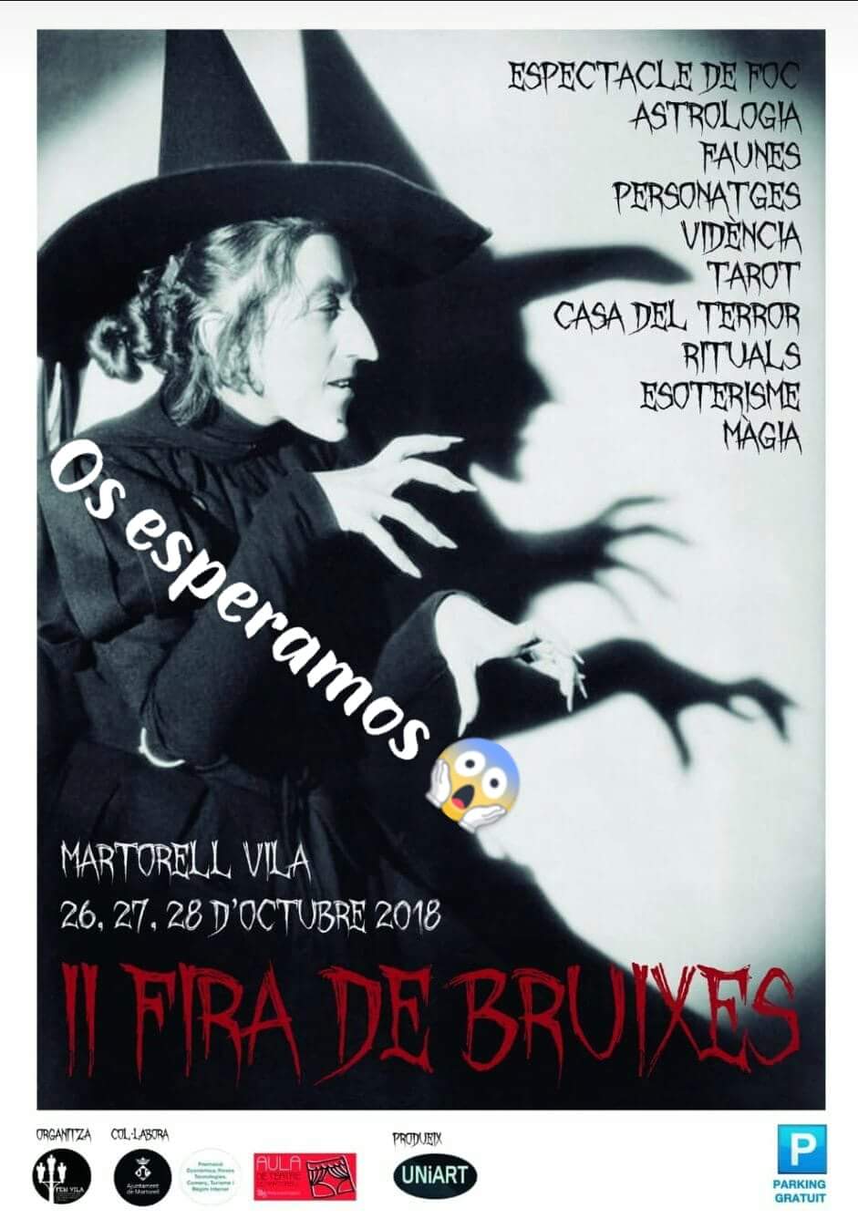 Fira de Bruixes