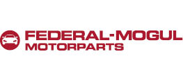Federal-Mogul Holding Deutschland GmbH Federal-Mogul Holding Deutschland GmbH Logo