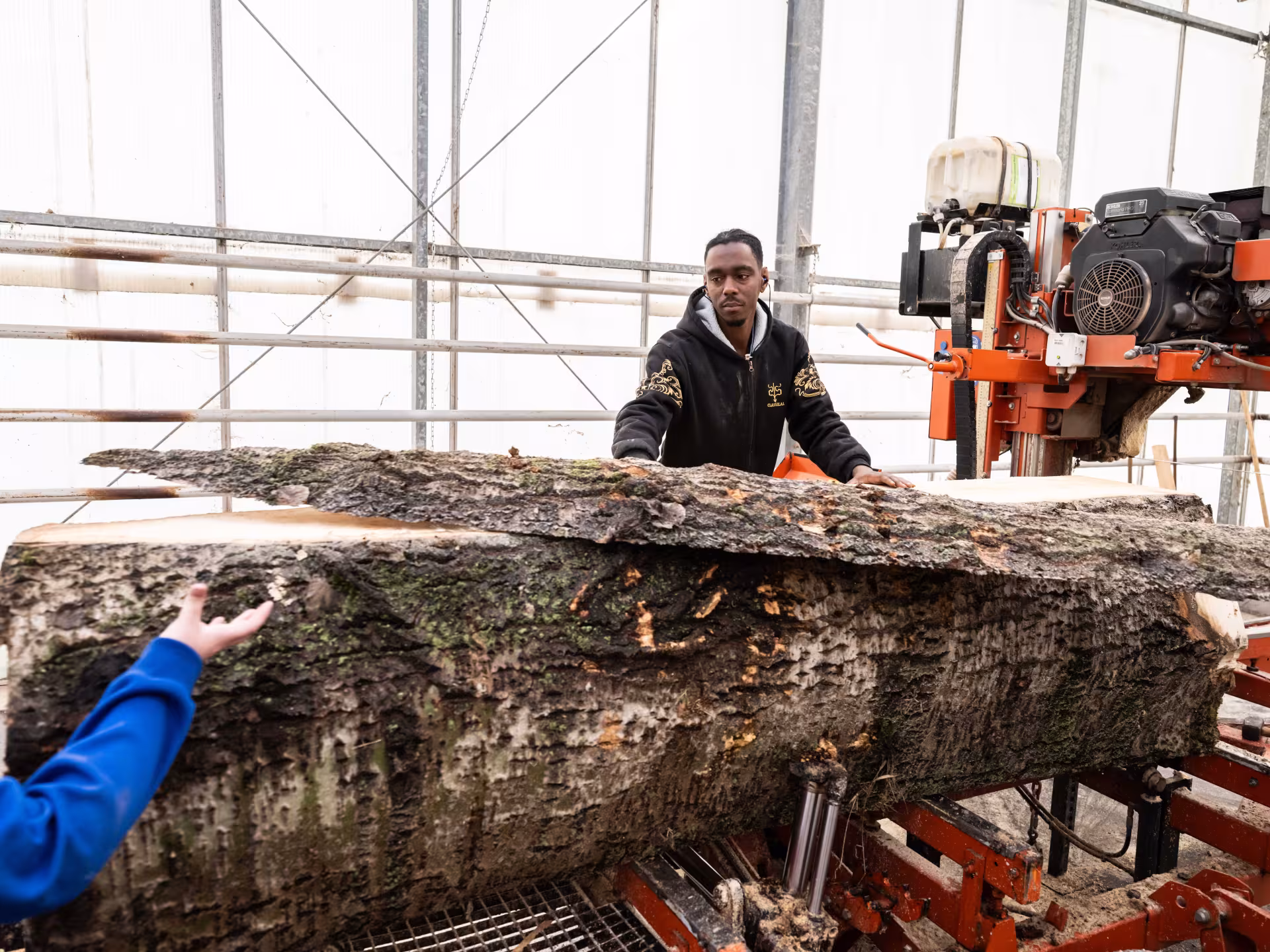 Hout2