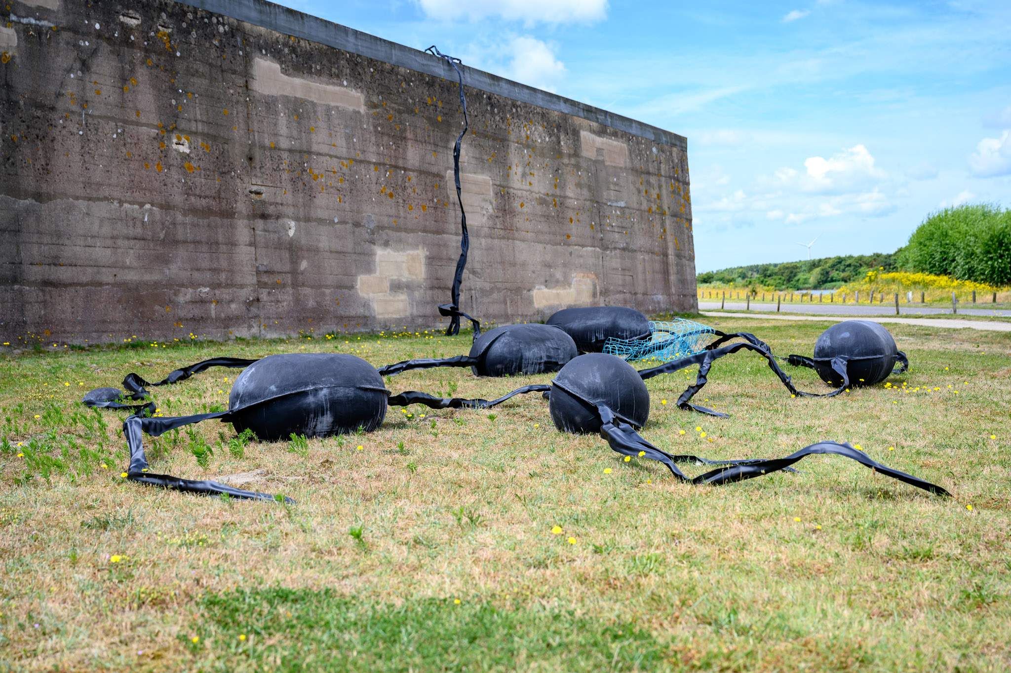 Het kunstwerk van Lisa Sebestikova: 'Tides'.