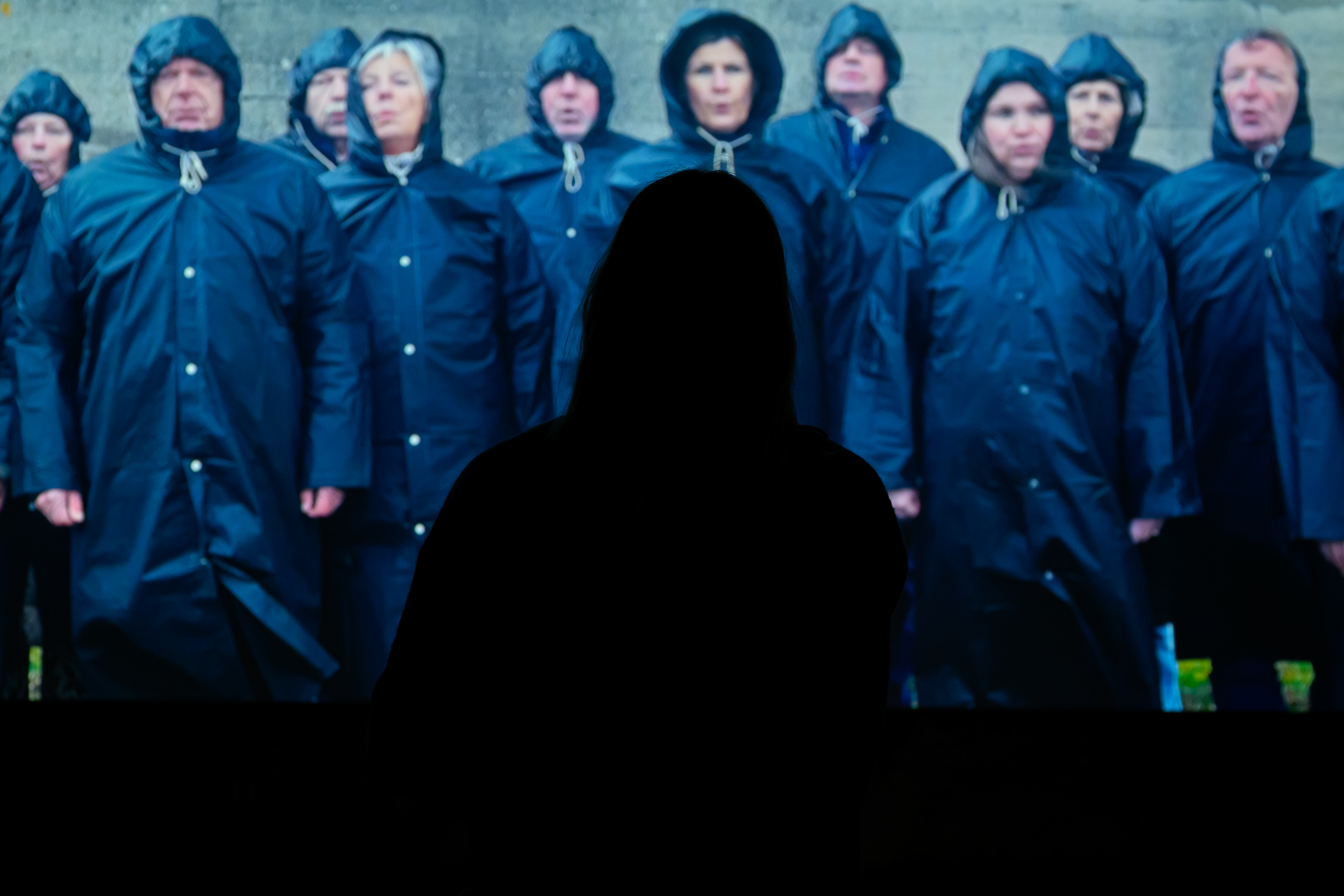 Kunstwerk: De wind en het land - Kunstenaar: Cindy Bakker