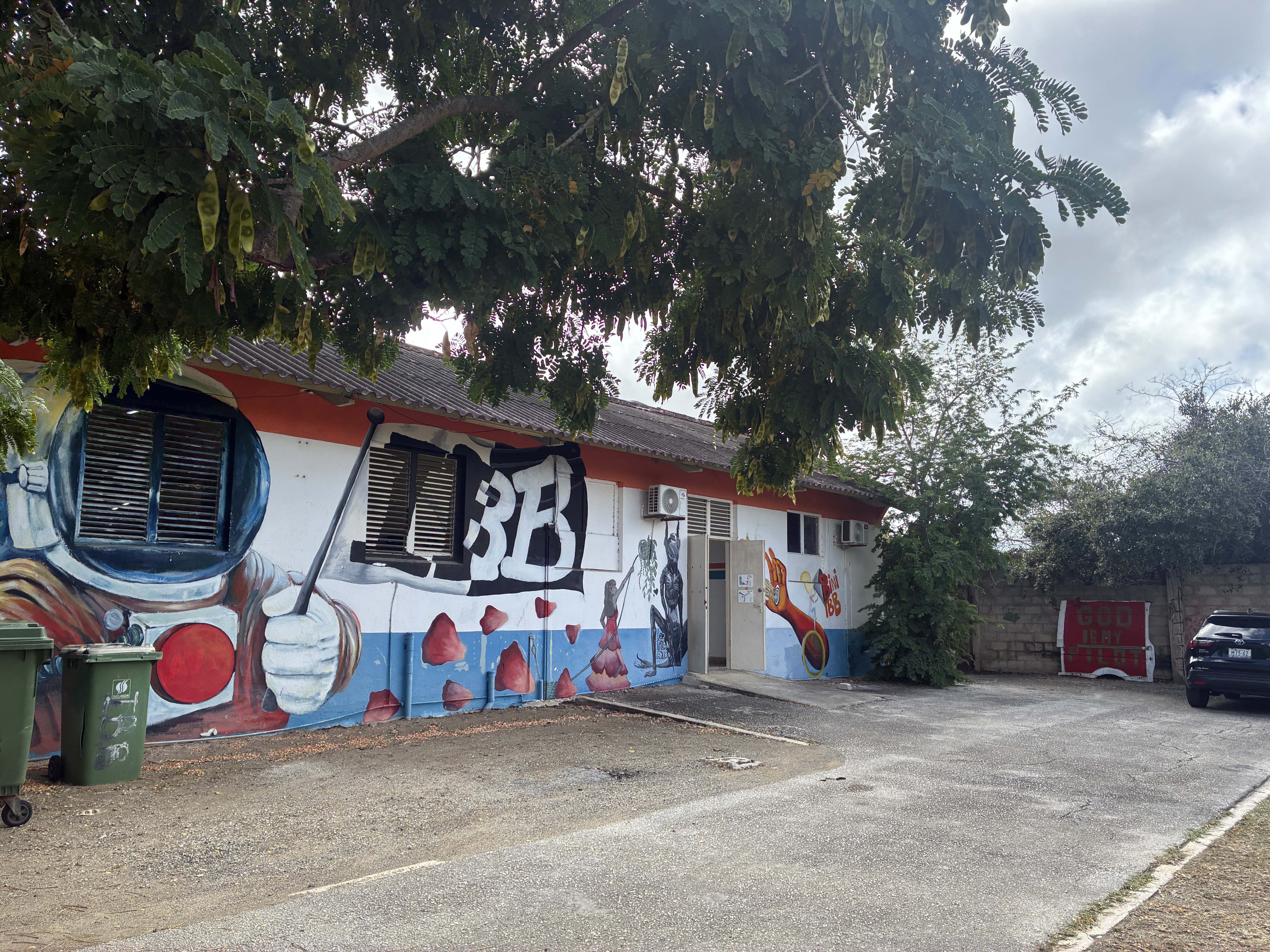 Instituto Buena Bista (IBB)