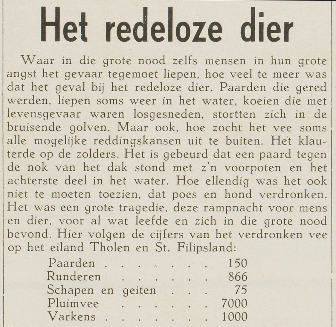 Krantenartikel: Het redeloze dier 