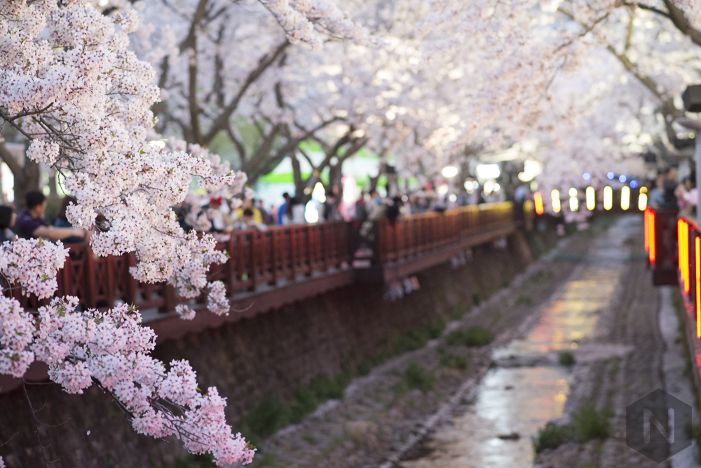 Rainbow bridge after sunset Illuminated Romance bridge