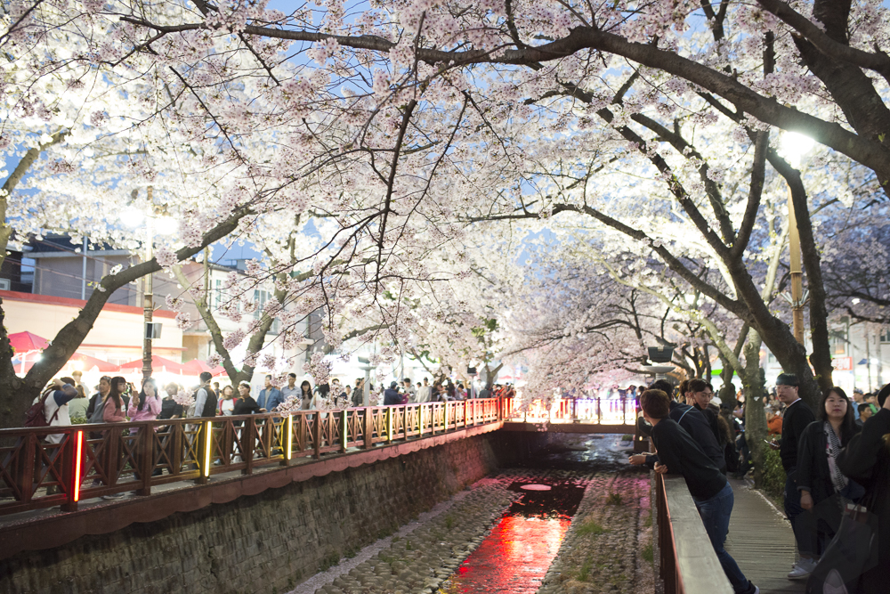 Rainbow bridge enlightened alt text