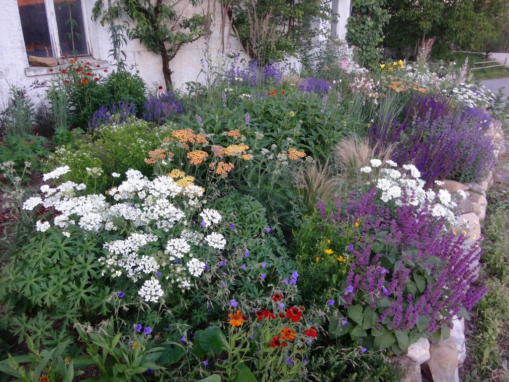 Garten Baumann - VERD.CH