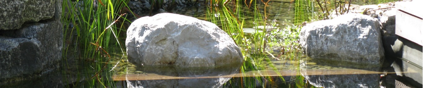 Daul garden Gartenbau & Umweltpsychologie