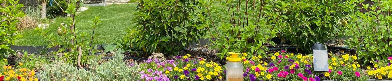 Schettini Garten Service
