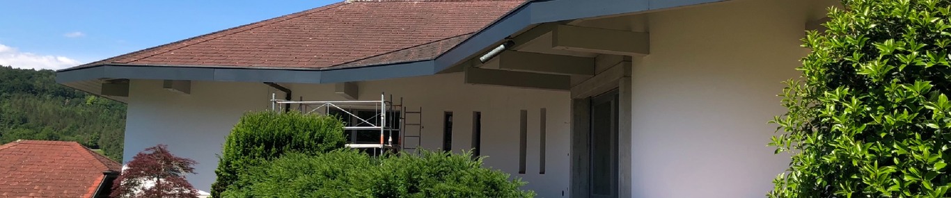Basilisk Maler GmbH