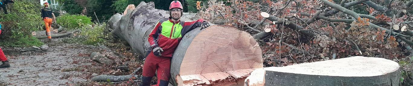 Weibel Holz.ch