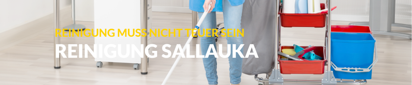Reinigung Sallauka