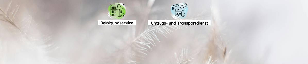 SOLEICHT Reinigungsservice GmbH 