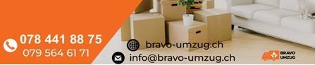 Bravo Umzug & Transport Trajanova 