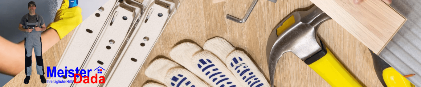 Meisterdada, Roman Dada