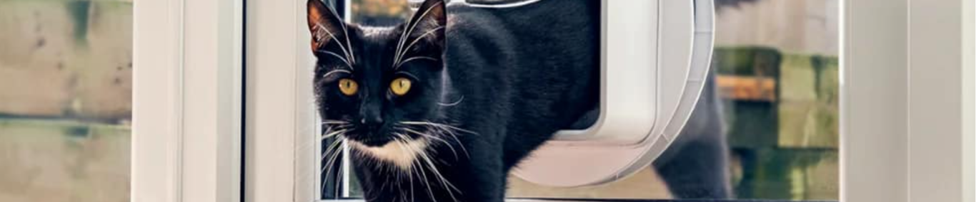 AE Fenster Türe Glas Reparatur GmbH 