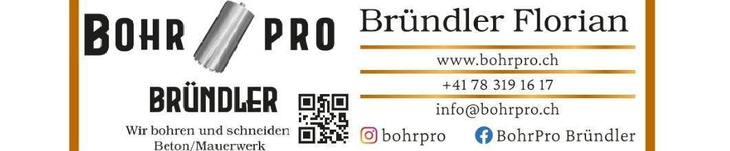BohrPro Friso