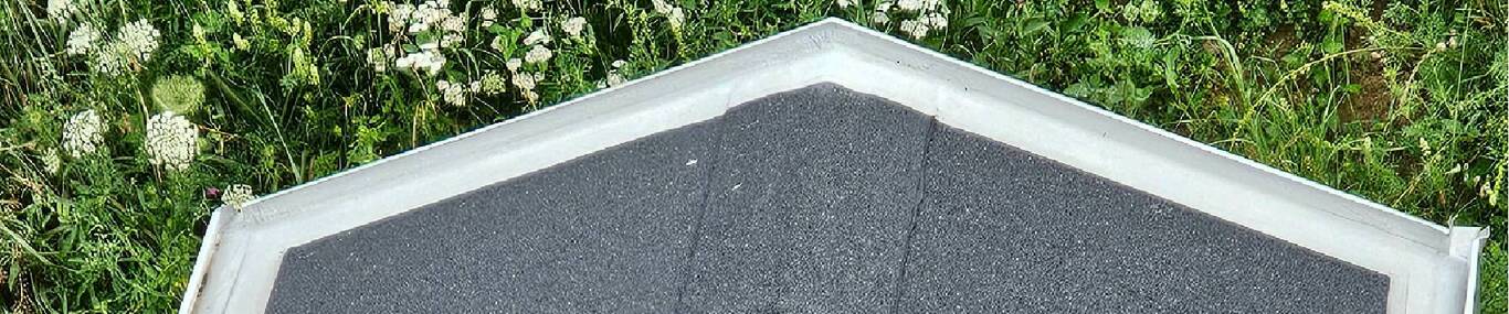 Rafi Dach, Inh. Walczak