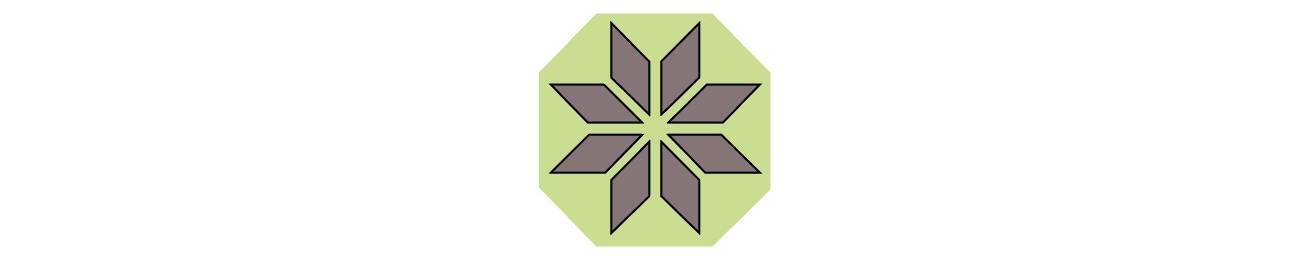 PASSIONE PLATTEN GMBH 