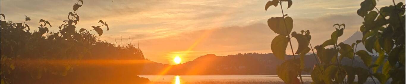 ayhan eroglu Reinigung