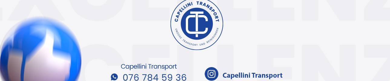 Capellini Transport & Reinigung, Breno Capellini