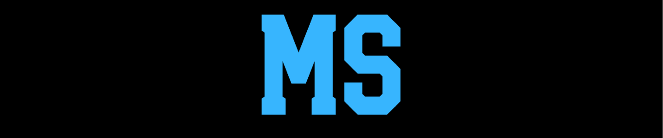 MS Metins Service GmbH