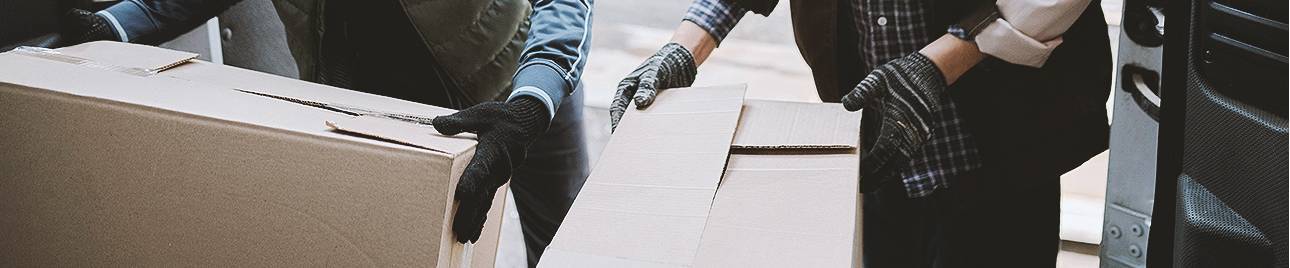 Sommervil VincoSwiss 