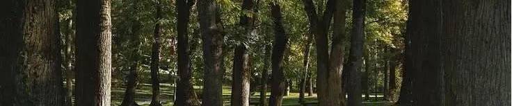 Matter & Hill Garten GmbH 