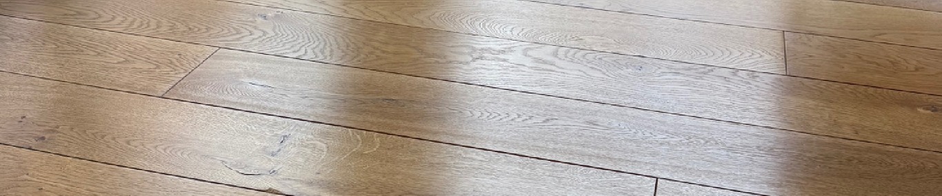 Brillwood Timea Huber 