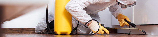 Schädlingsbekämpfung