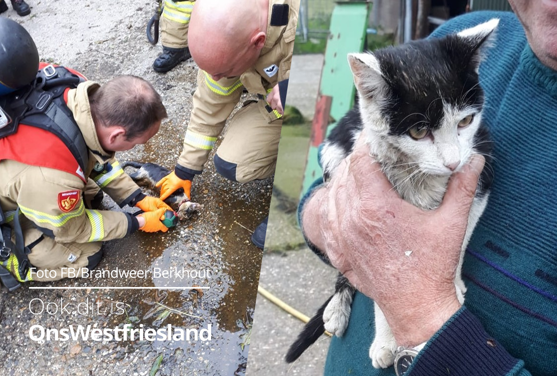 Katje overleefd val in mestput door reanimatie brandweer