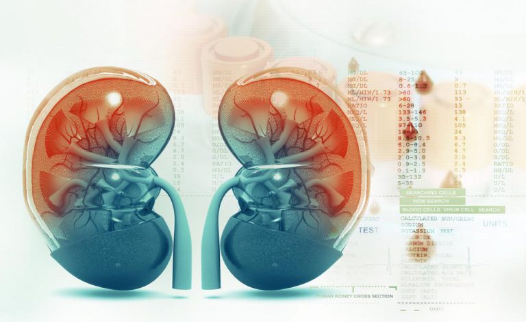 Malattia renale cronica: i fattori di rischio | Pazienti.it