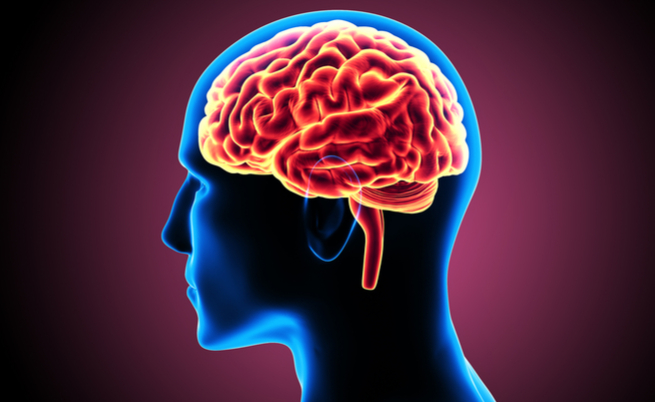 Qual è il legame tra Alzheimer, Parkinson e morbo di Huntington? | Pazienti.it