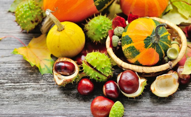 Allergie alimentari autunnali: cosa fare in questi casi? | Pazienti.it
