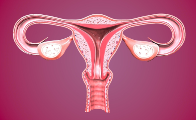 Mioma uterino, chi è più a rischio? | Pazienti.it