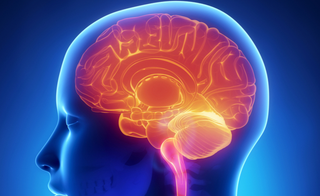 Autismo infantile: come riconoscerlo? | Pazienti.it