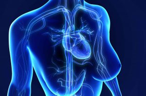 Malattie cardiache nella donna: quali sono i fattori di rischio a cui prestare più attenzione
