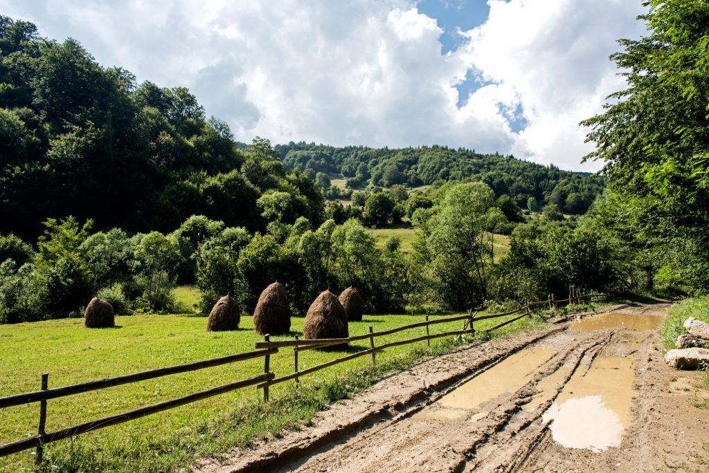 Împrejurimile satului Bichigiu (Năsăud), zonă în care Pașca s-a izolat în anii 50