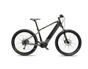 Mountain ebike IrenGo