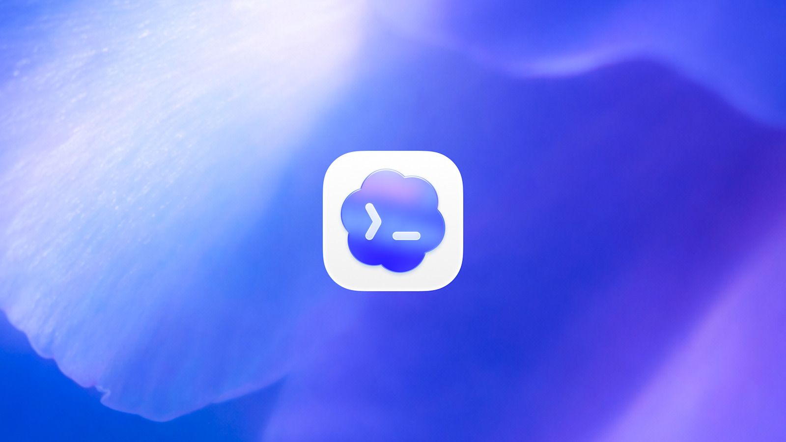 Codex від OpenAI вийшов як окрема програма для macOS — безплатний доступ уже відкрито