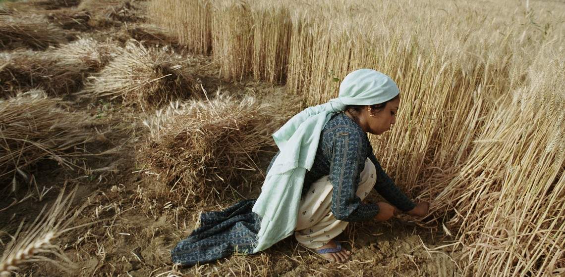 © The World Bank
