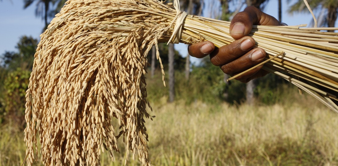 © Fondation Grameen Crédit Agricole