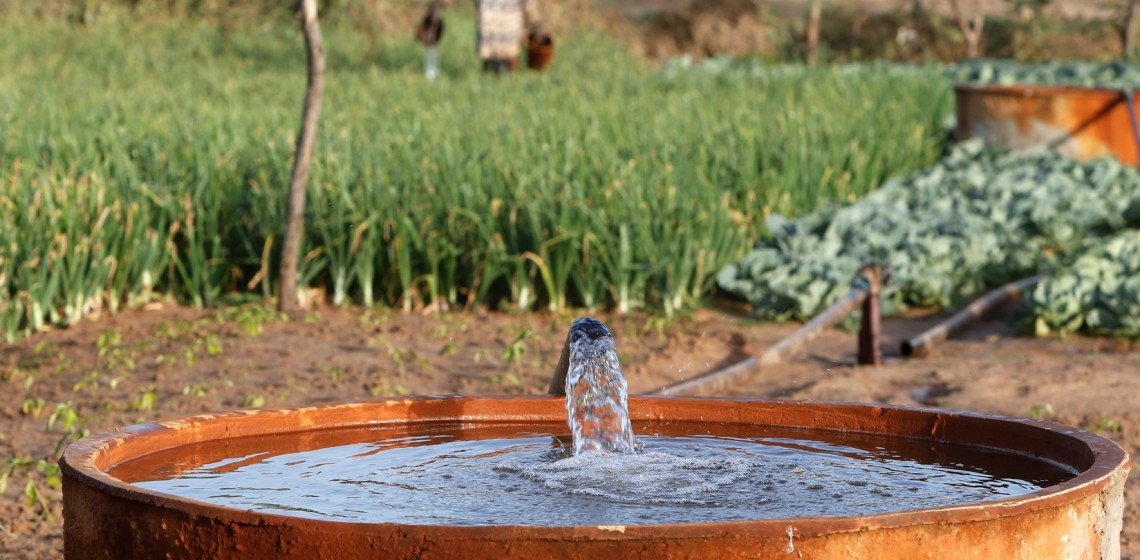 © Fondation Grameen Crédit Agricole