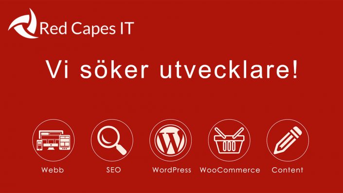 RCIT-utvecklare-SM