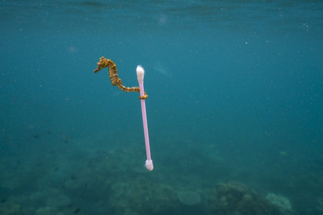 Planet or plastic