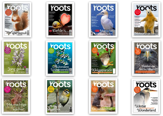 De mooiste Rootscover van 2014