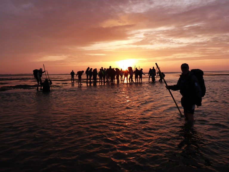 Nachtelijke wandeling over het wad
