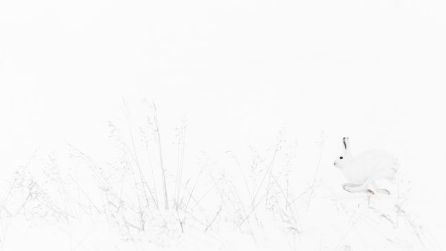 minimalistisch fotograferen