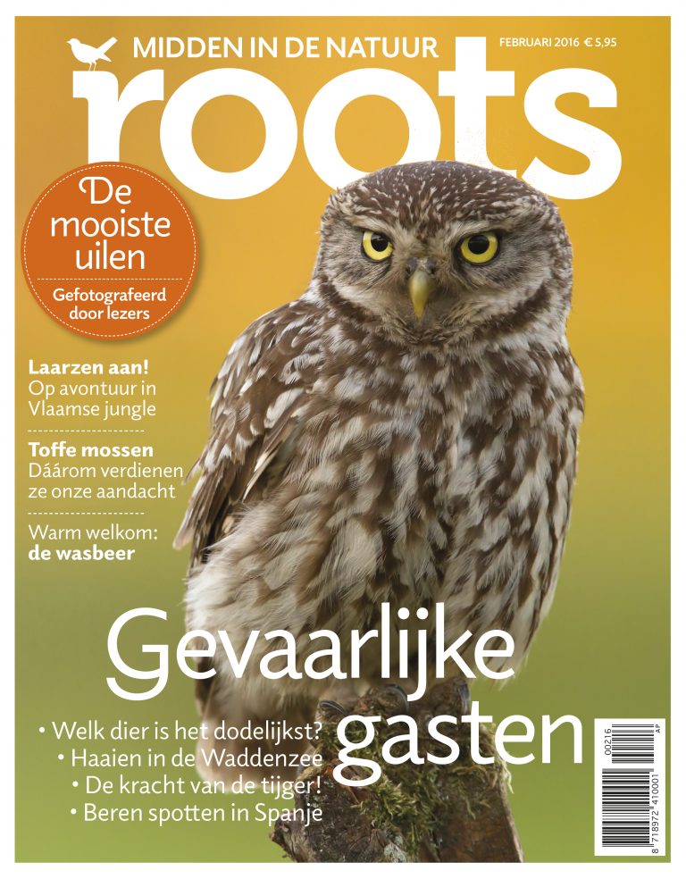De Roots van februari is uit!