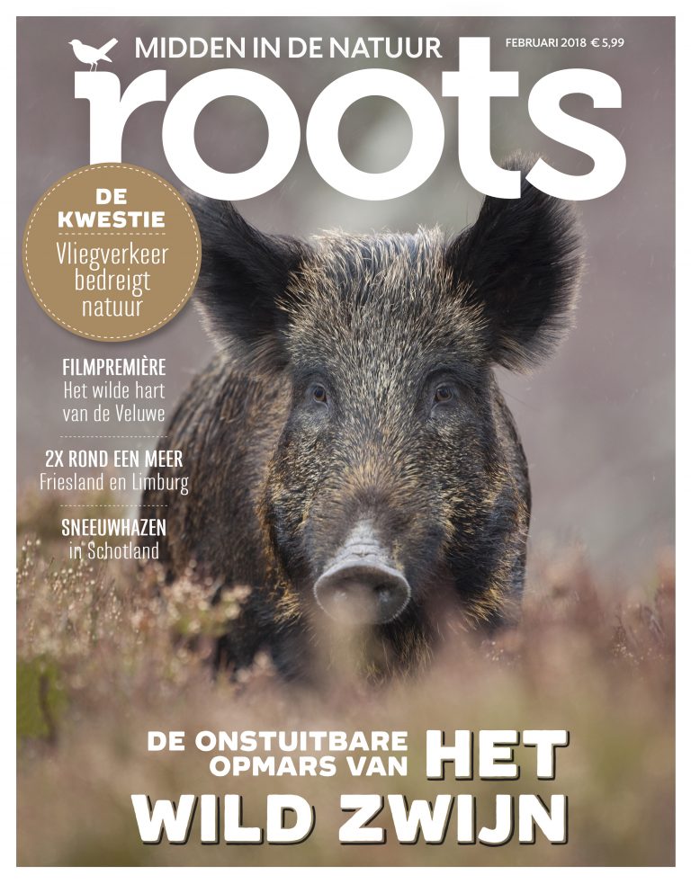 Roots editie 2-2018